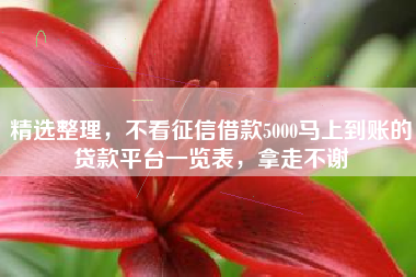 精选整理，不看征信借款5000马上到账的贷款平台一览表，拿走不谢