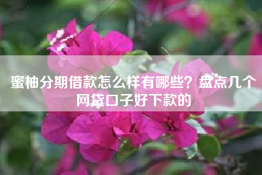 蜜柚分期借款怎么样有哪些？盘点几个网贷口子好下款的