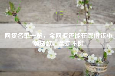 网贷名单一览,全网拒还能在哪借钱小额贷款,拿走不谢 网贷名单一览,全网拒还能在哪借钱小额贷款,拿走不谢