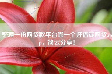 整理一份网贷款平台哪一个好借钱网贷app，简云分享！