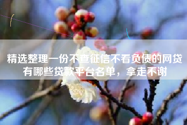 精选整理一份不查征信不看负债的网贷有哪些贷款平台名单，拿走不谢