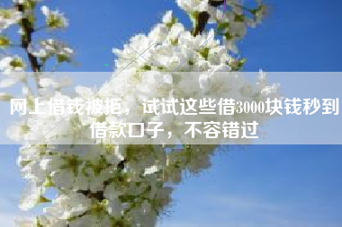 网上借钱被拒，试试这些借3000块钱秒到借款口子，不容错过