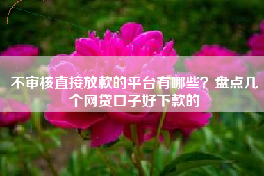 不审核直接放款的平台有哪些？盘点几个网贷口子好下款的