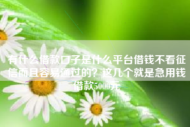 有什么借款口子是什么平台借钱不看征信而且容易通过的？这几个就是急用钱借款5000元