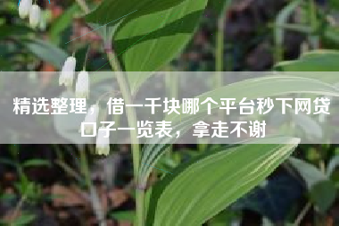 精选整理，借一千块哪个平台秒下网贷口子一览表，拿走不谢