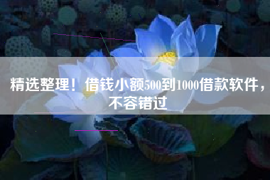 精选整理！借钱小额500到1000借款软件，不容错过
