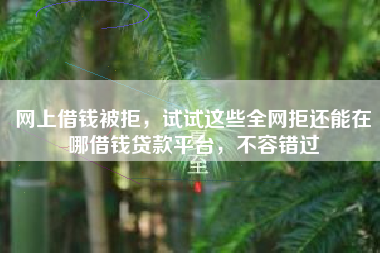 网上借钱被拒，试试这些全网拒还能在哪借钱贷款平台，不容错过