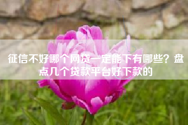 征信不好哪个网贷一定能下有哪些？盘点几个贷款平台好下款的