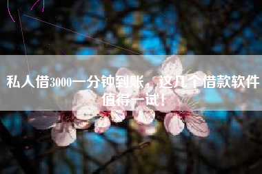 私人借3000一分钟到账，这几个借款软件值得一试！