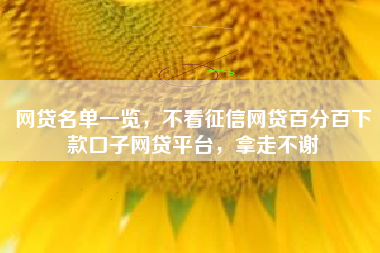 网贷名单一览，不看征信网贷百分百下款口子网贷平台，拿走不谢