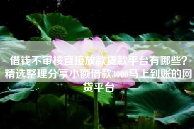 借钱不审核直接放款贷款平台有哪些？精选整理分享小额借款3000马上到账的网贷平台