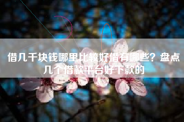 借几千块钱哪里比较好借有哪些？盘点几个借款平台好下款的