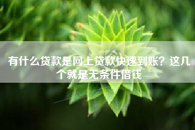 有什么贷款是网上贷款快速到账？这几个就是无条件借钱