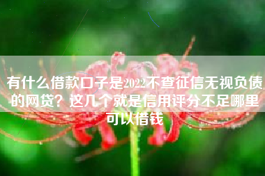 有什么借款口子是2022不查征信无视负债的网贷？这几个就是信用评分不足哪里可以借钱