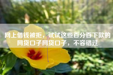 网上借钱被拒，试试这些百分百下款的网贷口子网贷口子，不容错过