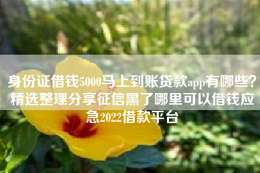 身份证借钱5000马上到账贷款app有哪些？精选整理分享征信黑了哪里可以借钱应急2022借款平台
