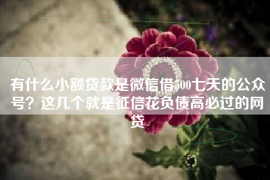 有什么小额贷款是微信借500七天的公众号？这几个就是征信花负债高必过的网贷