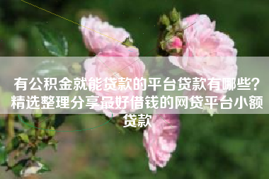 有公积金就能贷款的平台贷款有哪些？精选整理分享最好借钱的网贷平台小额贷款