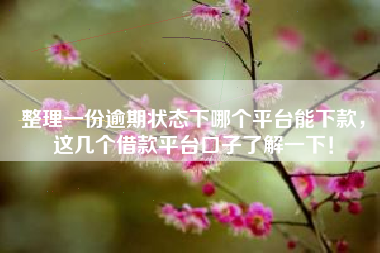 整理一份逾期状态下哪个平台能下款，这几个借款平台口子了解一下！