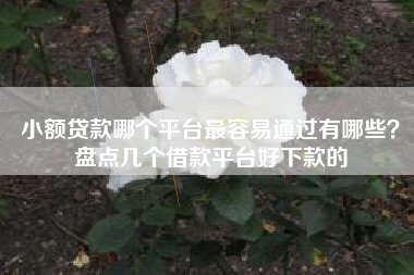 小额贷款哪个平台最容易通过有哪些？盘点几个借款平台好下款的