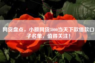 网贷盘点，小额网贷3000当天下款借款口子名单，值得关注！
