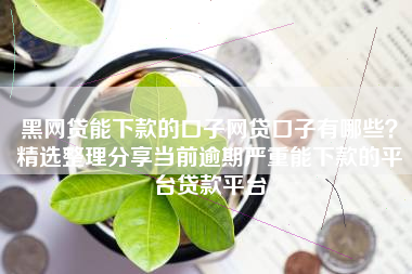 黑网贷能下款的口子网贷口子有哪些？精选整理分享当前逾期严重能下款的平台贷款平台