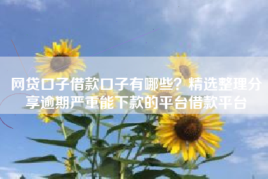 网贷口子借款口子有哪些？精选整理分享逾期严重能下款的平台借款平台