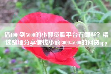 借1000到5000的小额贷款平台有哪些？精选整理分享借钱小额3000-5000的网贷app