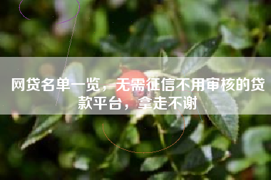 网贷名单一览，无需征信不用审核的贷款平台，拿走不谢