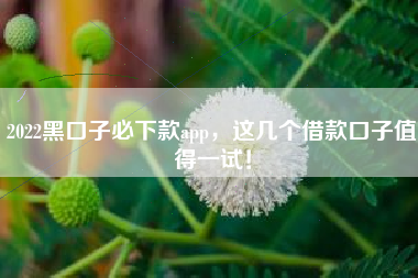 2022黑口子必下款app，这几个借款口子值得一试！