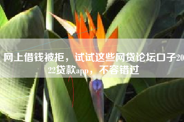 网上借钱被拒，试试这些网贷论坛口子2022贷款app，不容错过