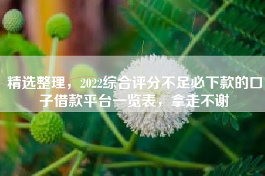 精选整理，2022综合评分不足必下款的口子借款平台一览表，拿走不谢