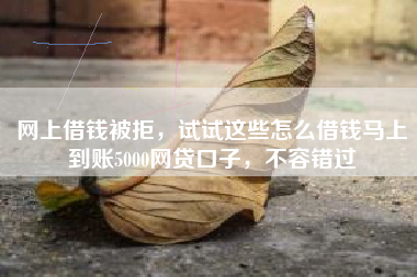 网上借钱被拒，试试这些怎么借钱马上到账5000网贷口子，不容错过