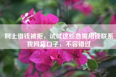 网上借钱被拒，试试这些急需用钱联系我网贷口子，不容错过