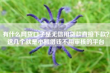 有什么网贷口子是无信用贷款直接下款？这几个就是小额借钱不用审核的平台