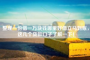 整理一份借一万块钱哪里好借立马到账，这几个贷款口子了解一下！