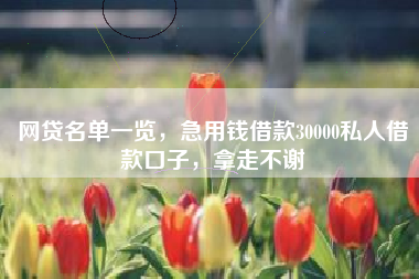 网贷名单一览，急用钱借款30000私人借款口子，拿走不谢