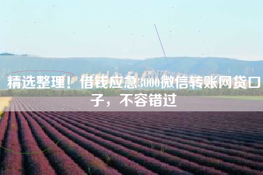 精选整理！借钱应急3000微信转账网贷口子，不容错过