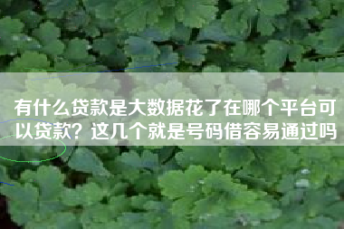 有什么贷款是大数据花了在哪个平台可以贷款？这几个就是号码借容易通过吗