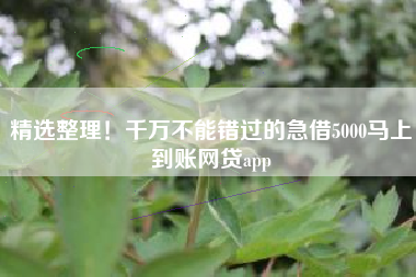 精选整理！千万不能错过的急借5000马上到账网贷app