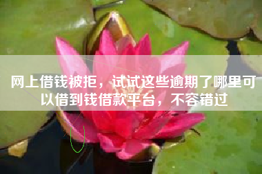 网上借钱被拒，试试这些逾期了哪里可以借到钱借款平台，不容错过