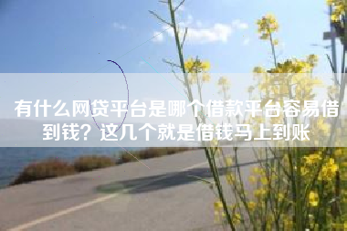 有什么网贷平台是哪个借款平台容易借到钱？这几个就是借钱马上到账