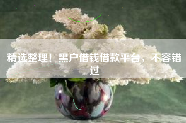 精选整理！黑户借钱借款平台，不容错过