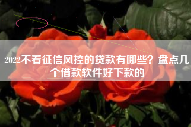 2022不看征信风控的贷款有哪些？盘点几个借款软件好下款的