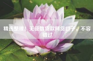精选整理！无征信贷款网贷口子，不容错过
