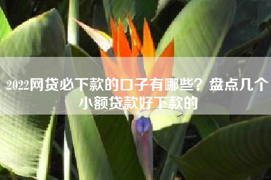 2022网贷必下款的口子有哪些？盘点几个小额贷款好下款的