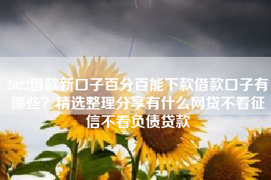 2022借款新口子百分百能下款借款口子有哪些？精选整理分享有什么网贷不看征信不看负债贷款