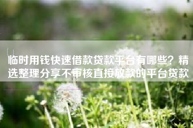 临时用钱快速借款贷款平台有哪些？精选整理分享不审核直接放款的平台贷款