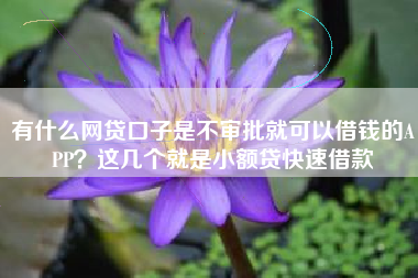 有什么网贷口子是不审批就可以借钱的APP？这几个就是小额贷快速借款