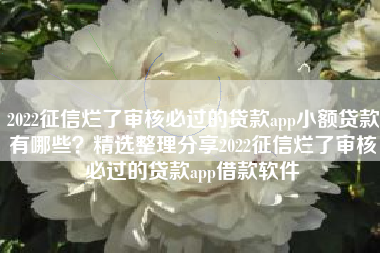 2022征信烂了审核必过的贷款app小额贷款有哪些？精选整理分享2022征信烂了审核必过的贷款app借款软件